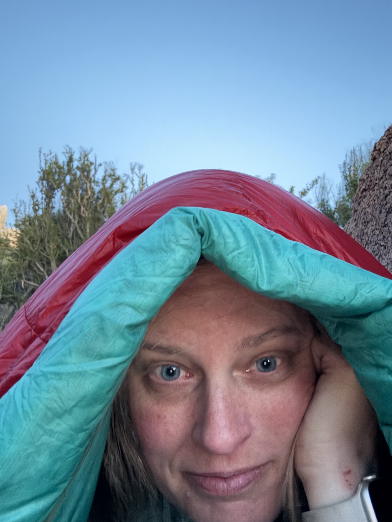 PCT Day 5: Mount Laguna to Oriflamme Canyon, Mile 55.9 (May 23)