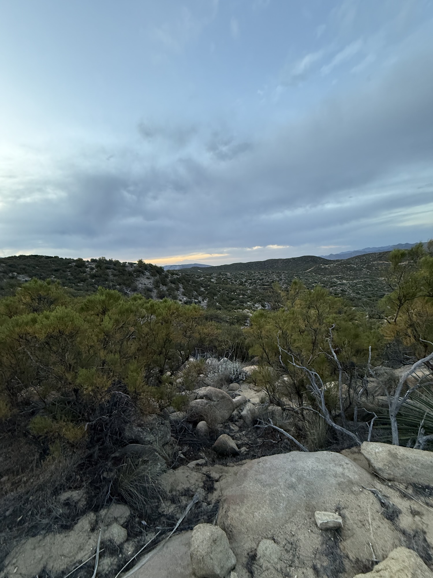 PCT Day 13: DeBenedetti’s Mile 139.7 to Pine Springs Ranch Mile 151.8 (May 31)